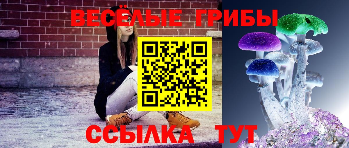 Мыски  где купить наркоту  Вход с VPN  Псилоцибиновые грибы мицелий 